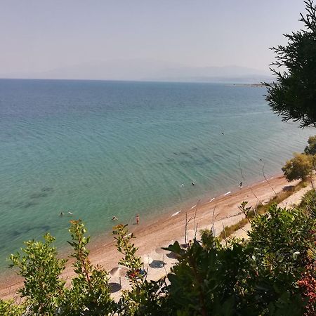 Koralli Sea View Hotel Kato Achaia Luaran gambar